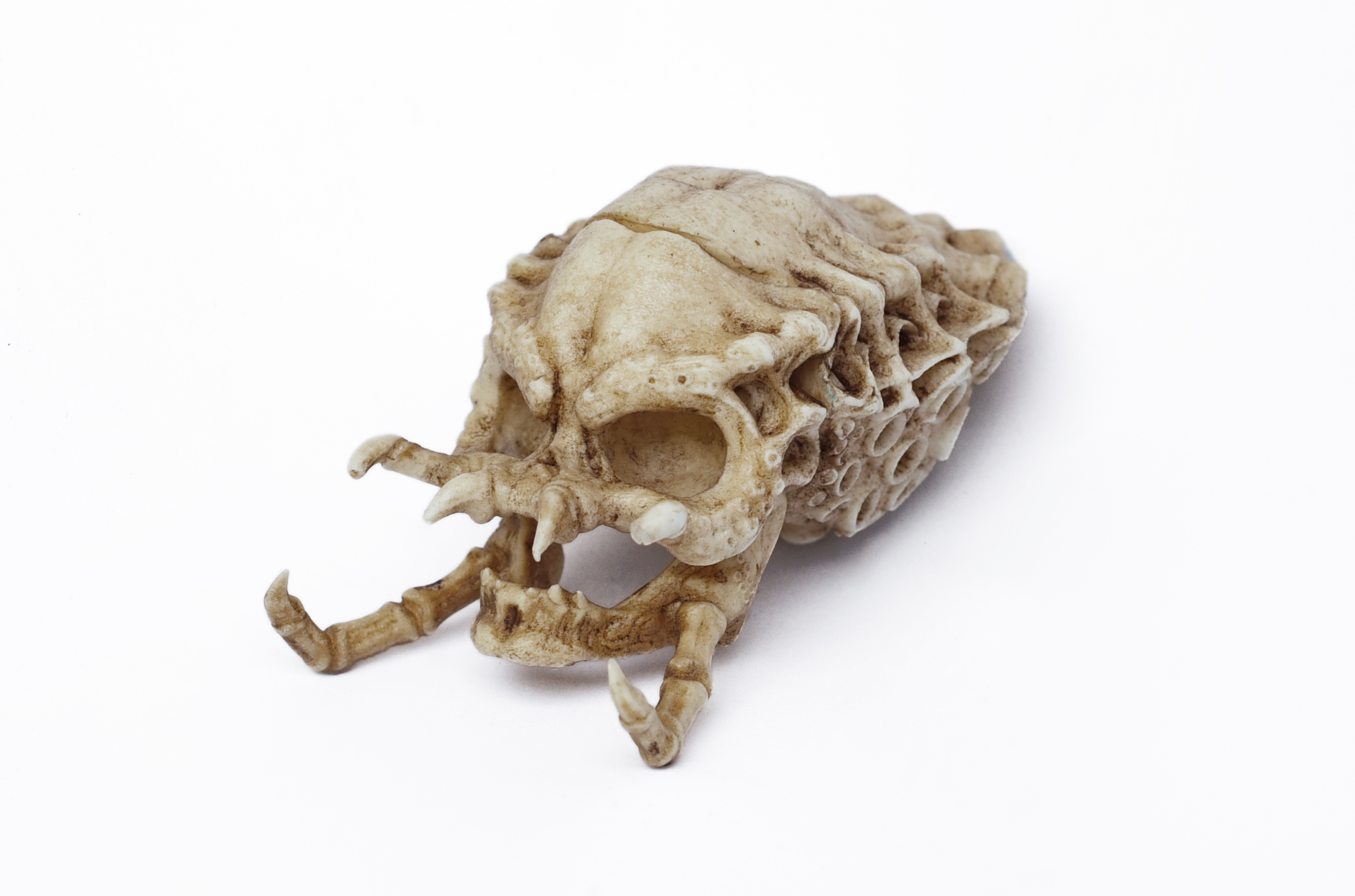 Predator skull 1/6 scale