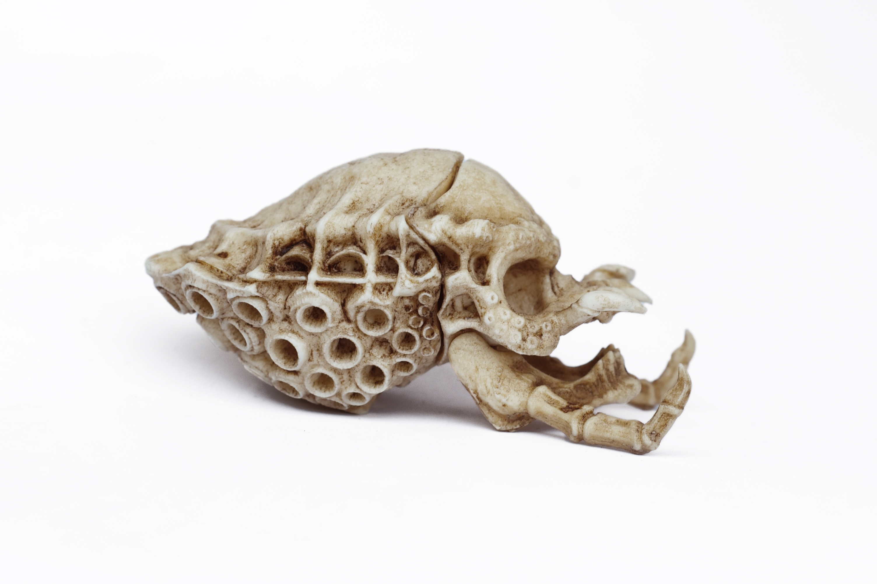 Predator skull 1/6 scale