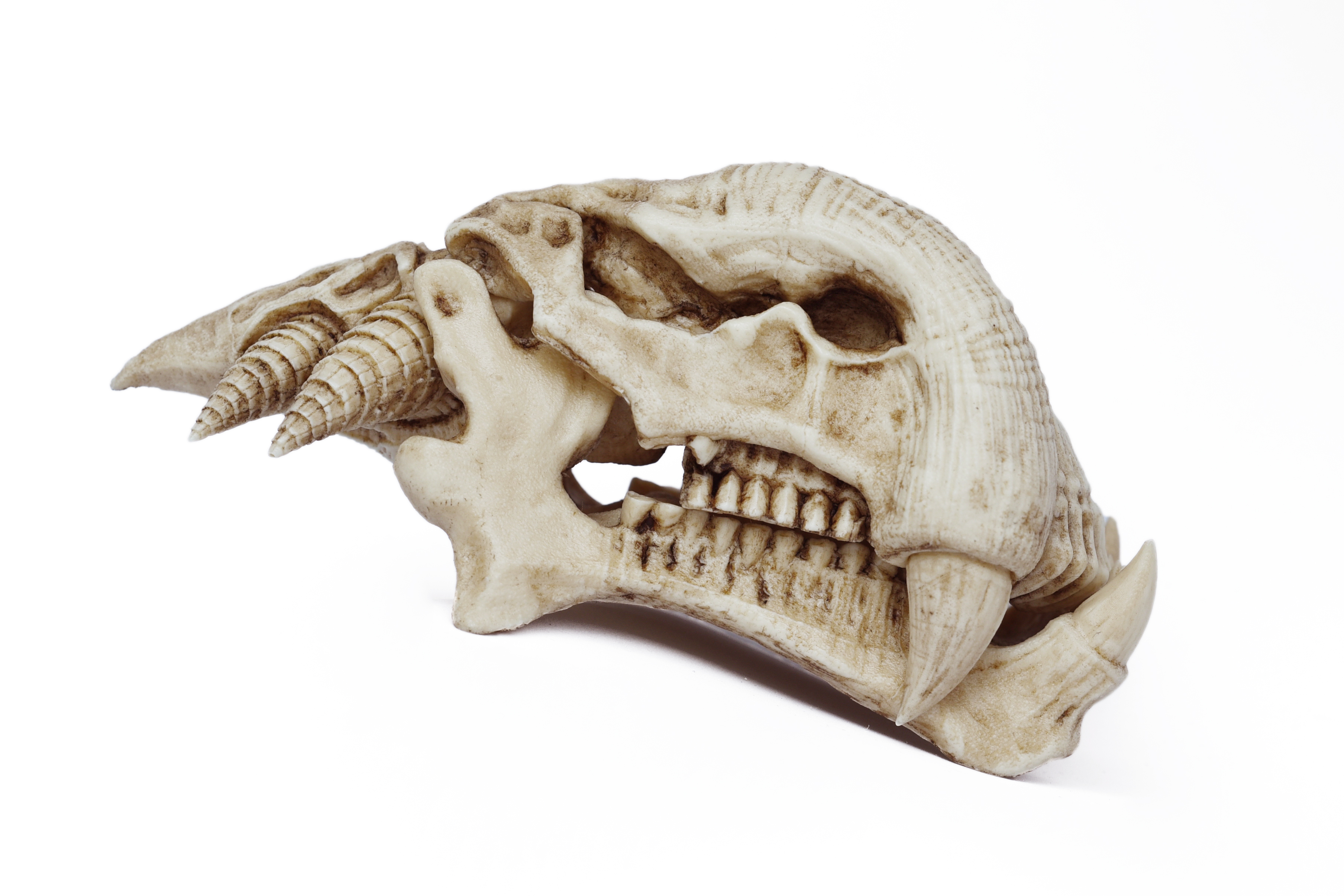 Alien skull "Predator 2" 1/6 scale (Trophy Skull)