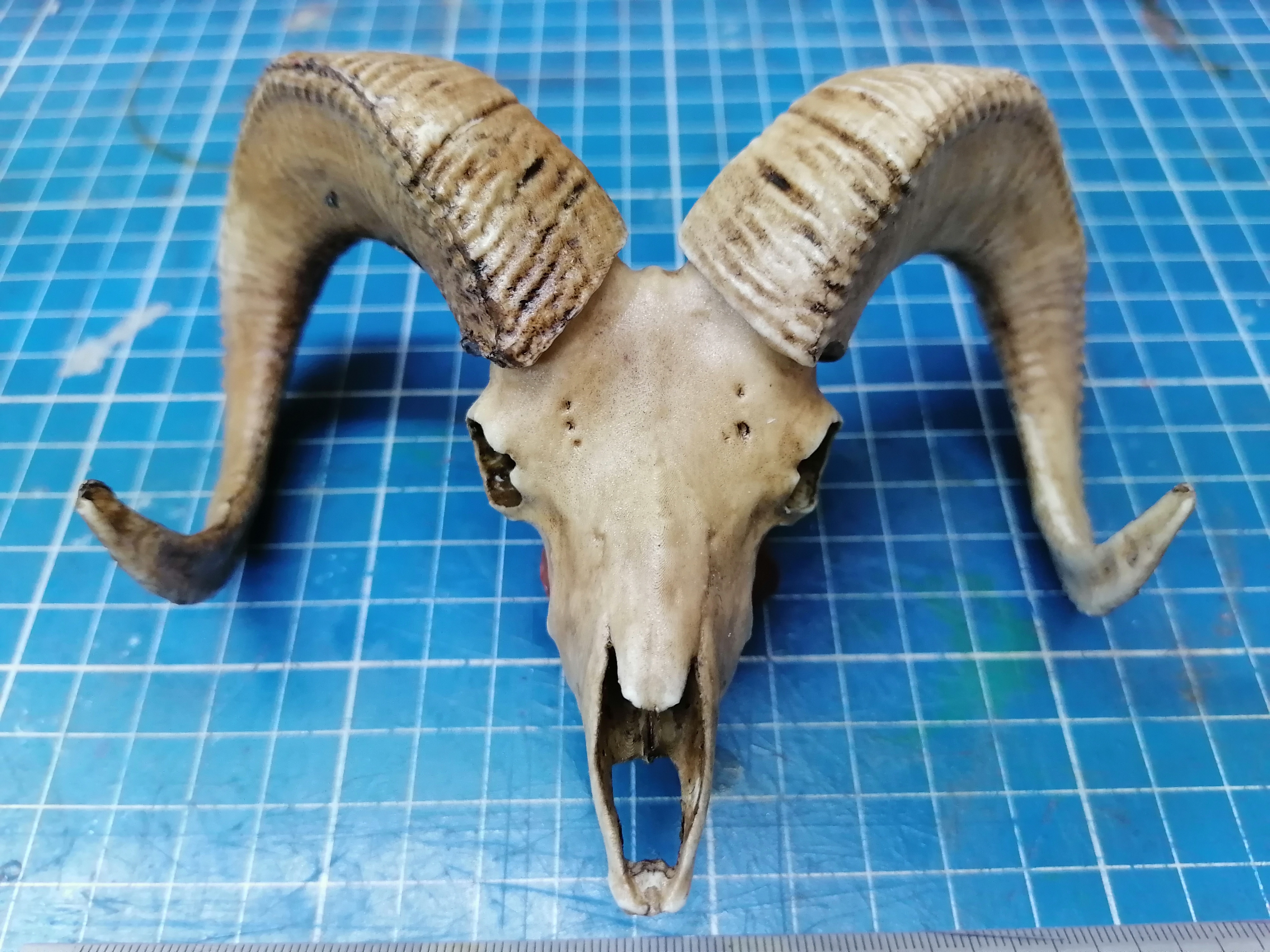 Ram Skull 1/3 Scale