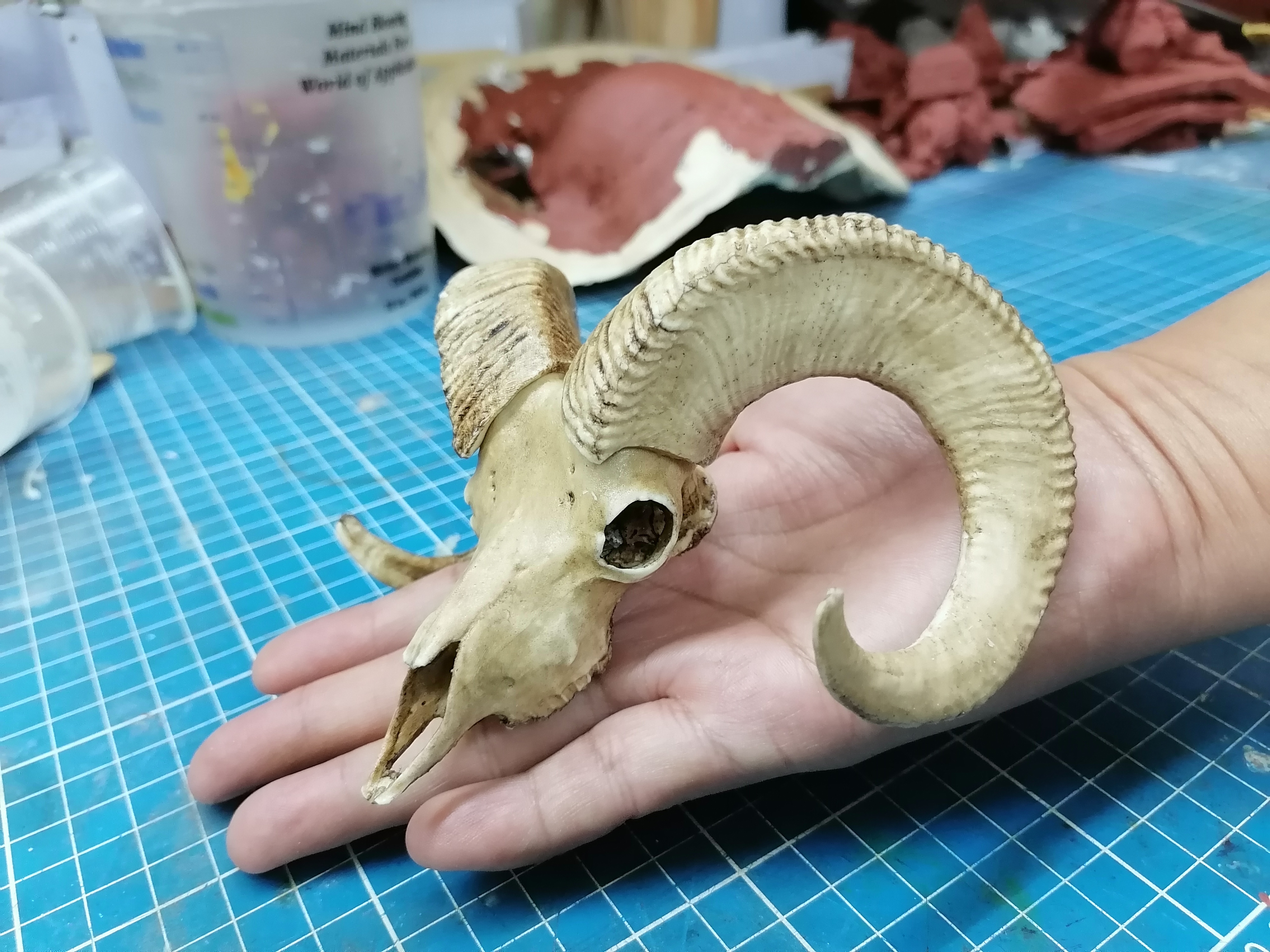 Ram Skull 1/3 Scale