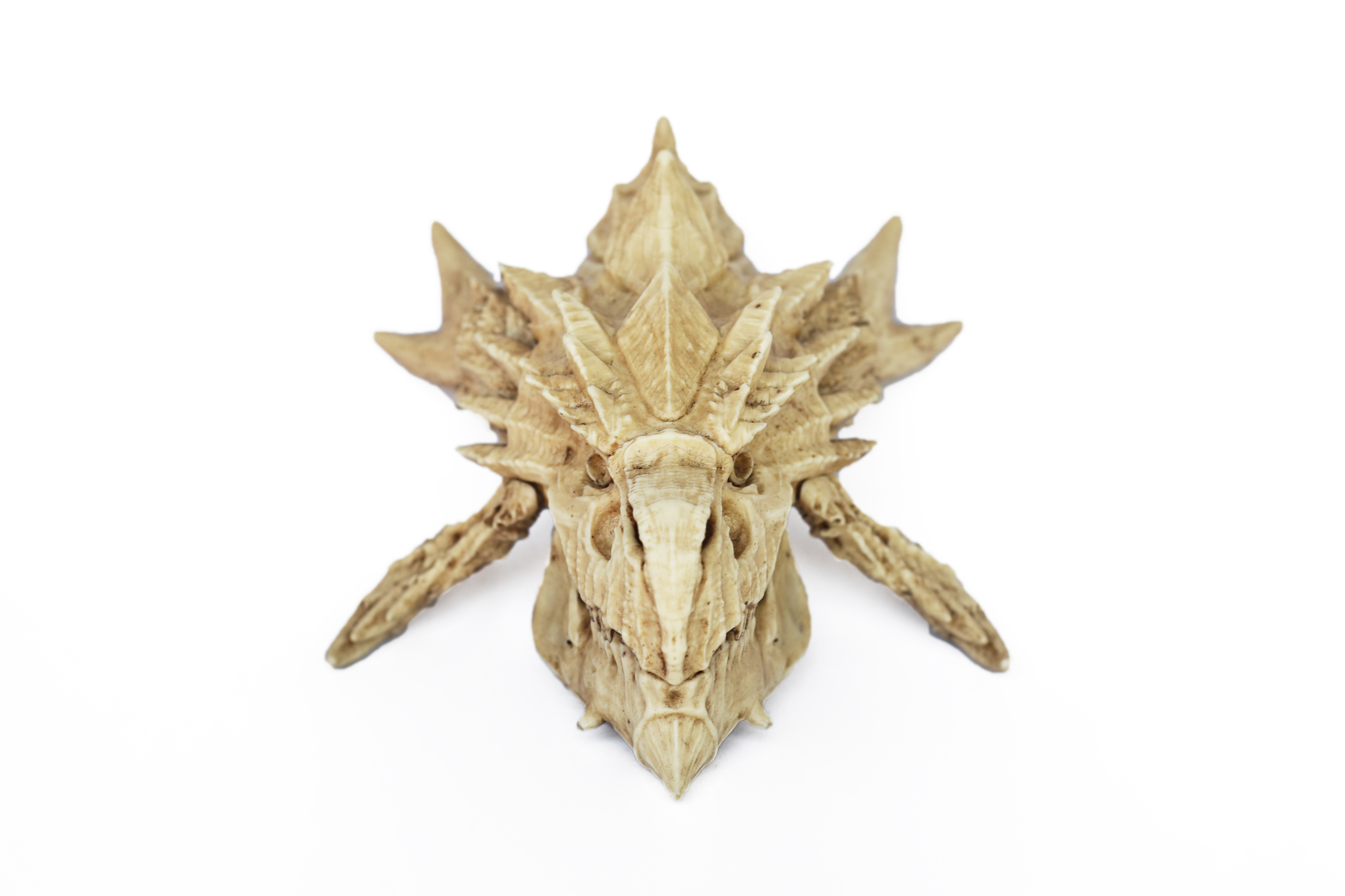Rathalos Skull "Monster Hunter"