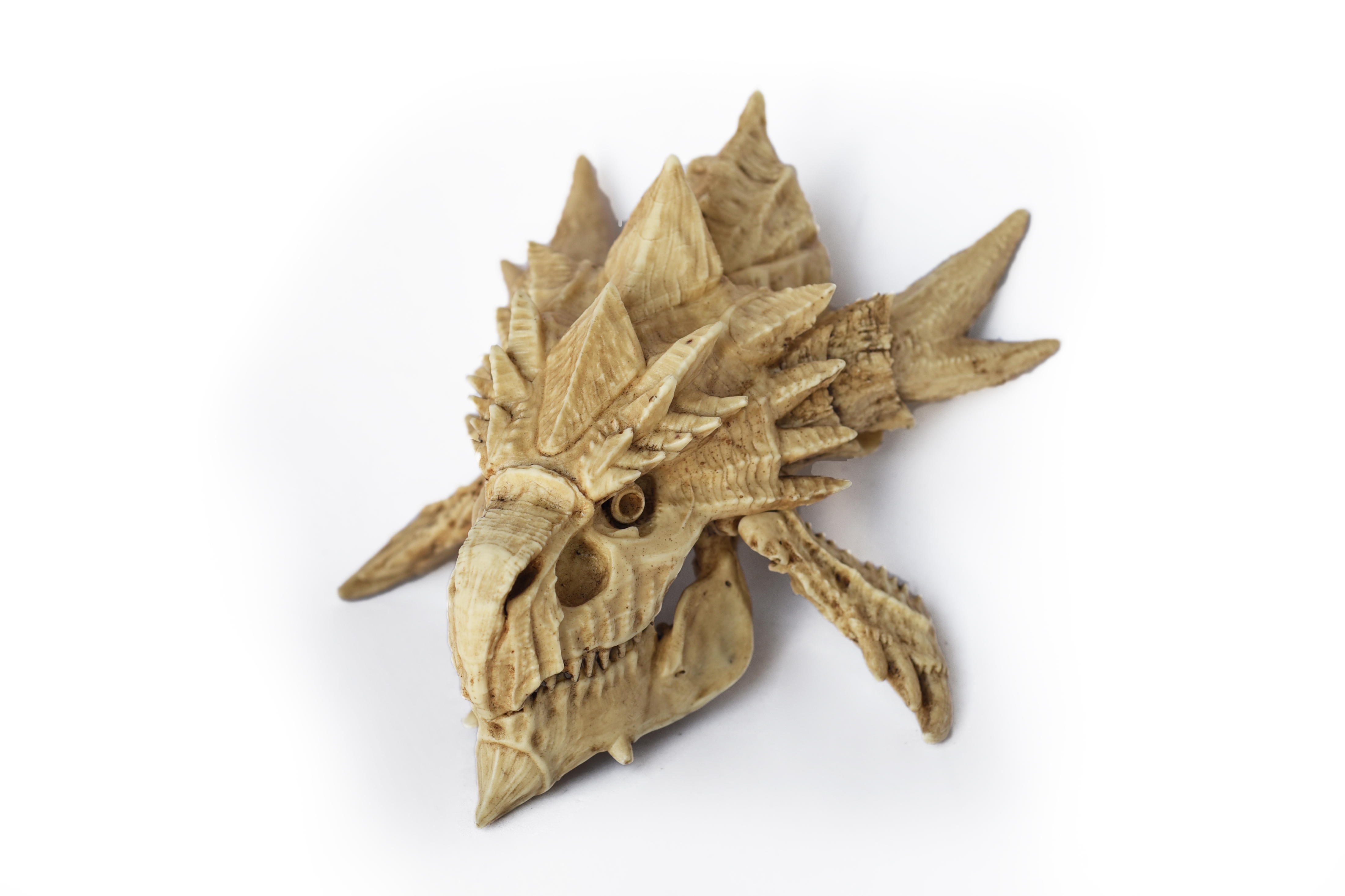 Rathalos Skull "Monster Hunter"