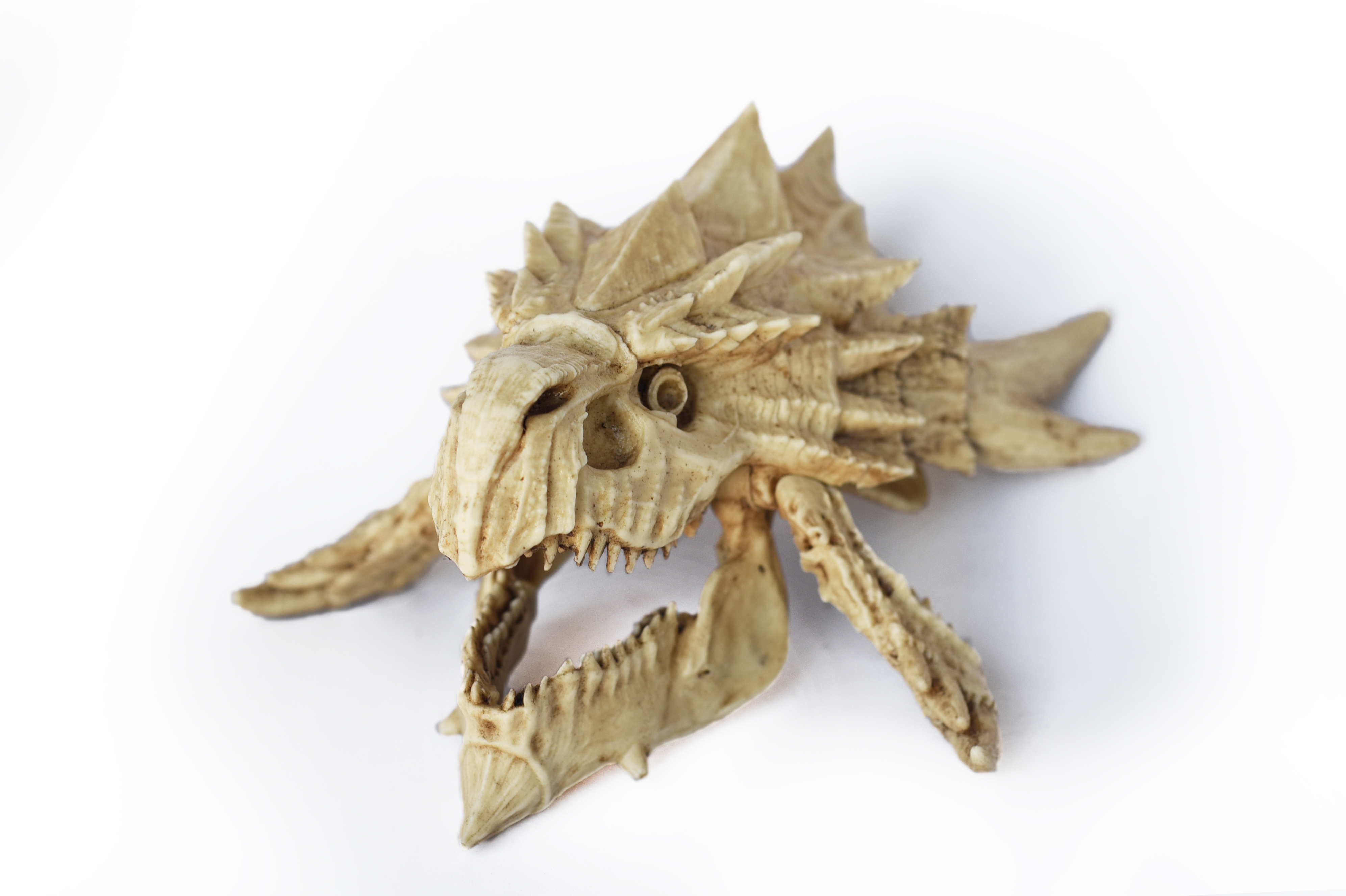Rathalos Skull "Monster Hunter"
