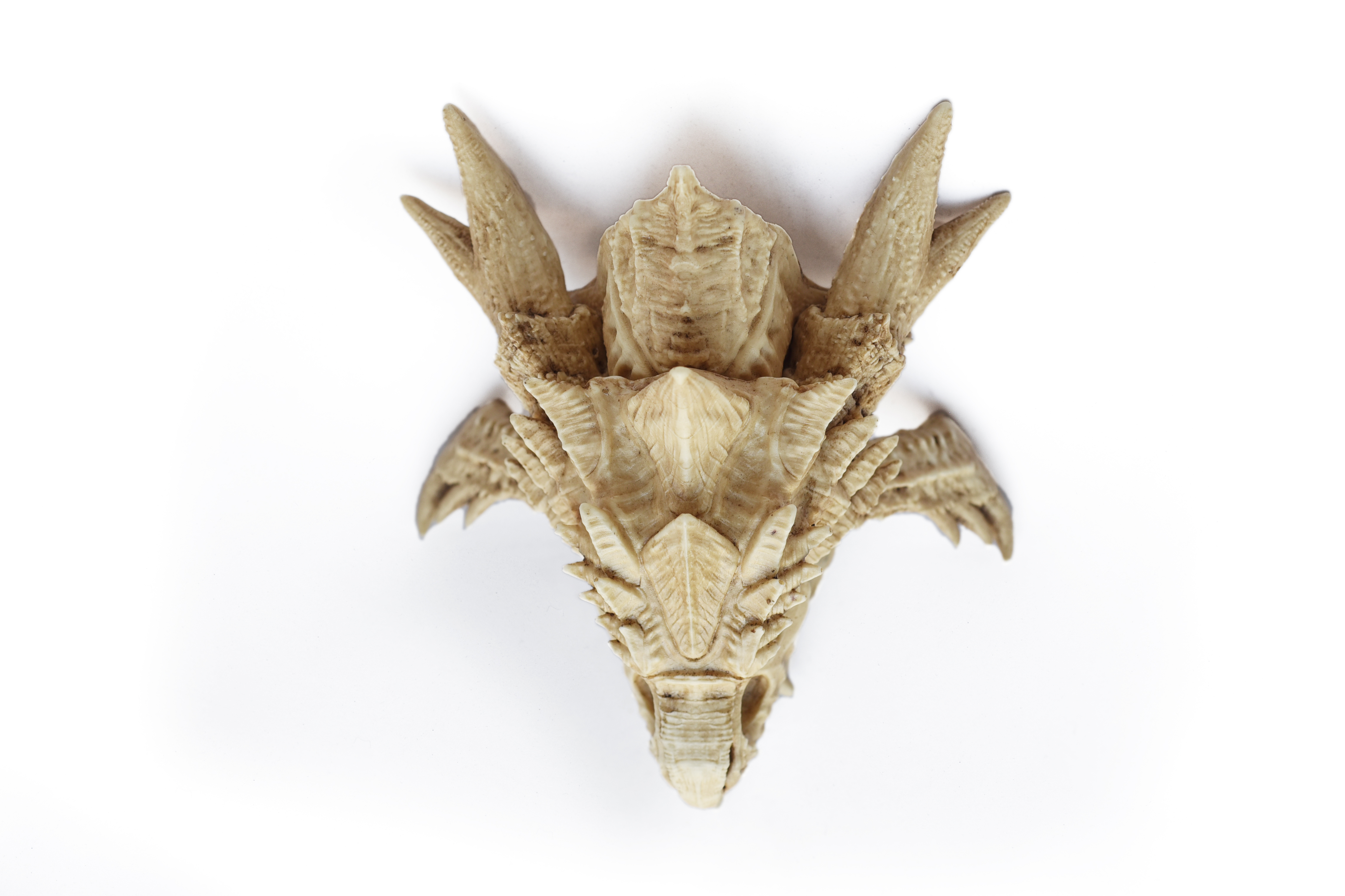 Rathalos Skull "Monster Hunter"
