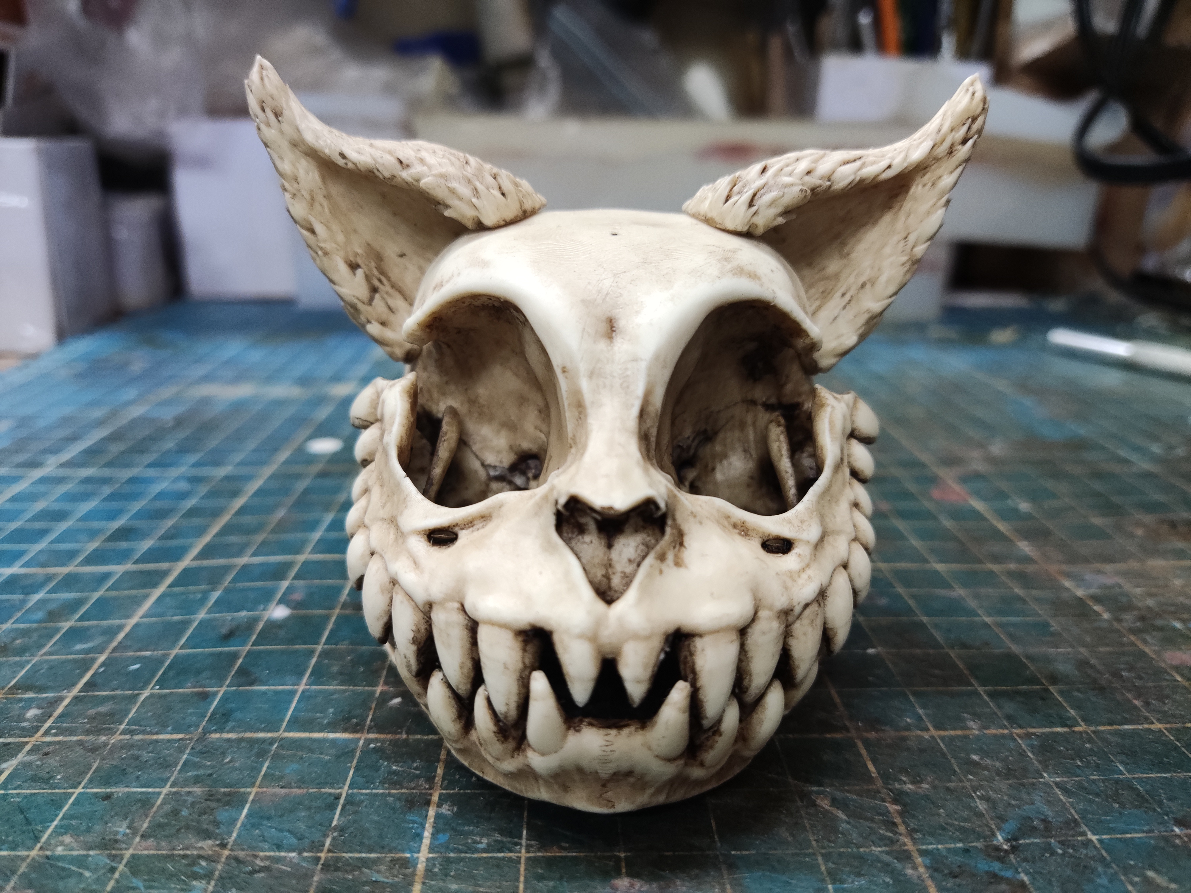 Cheshire Cat Skull "Alice" Alice trough glass,absolom, alice, mad hatter, rabitt hole