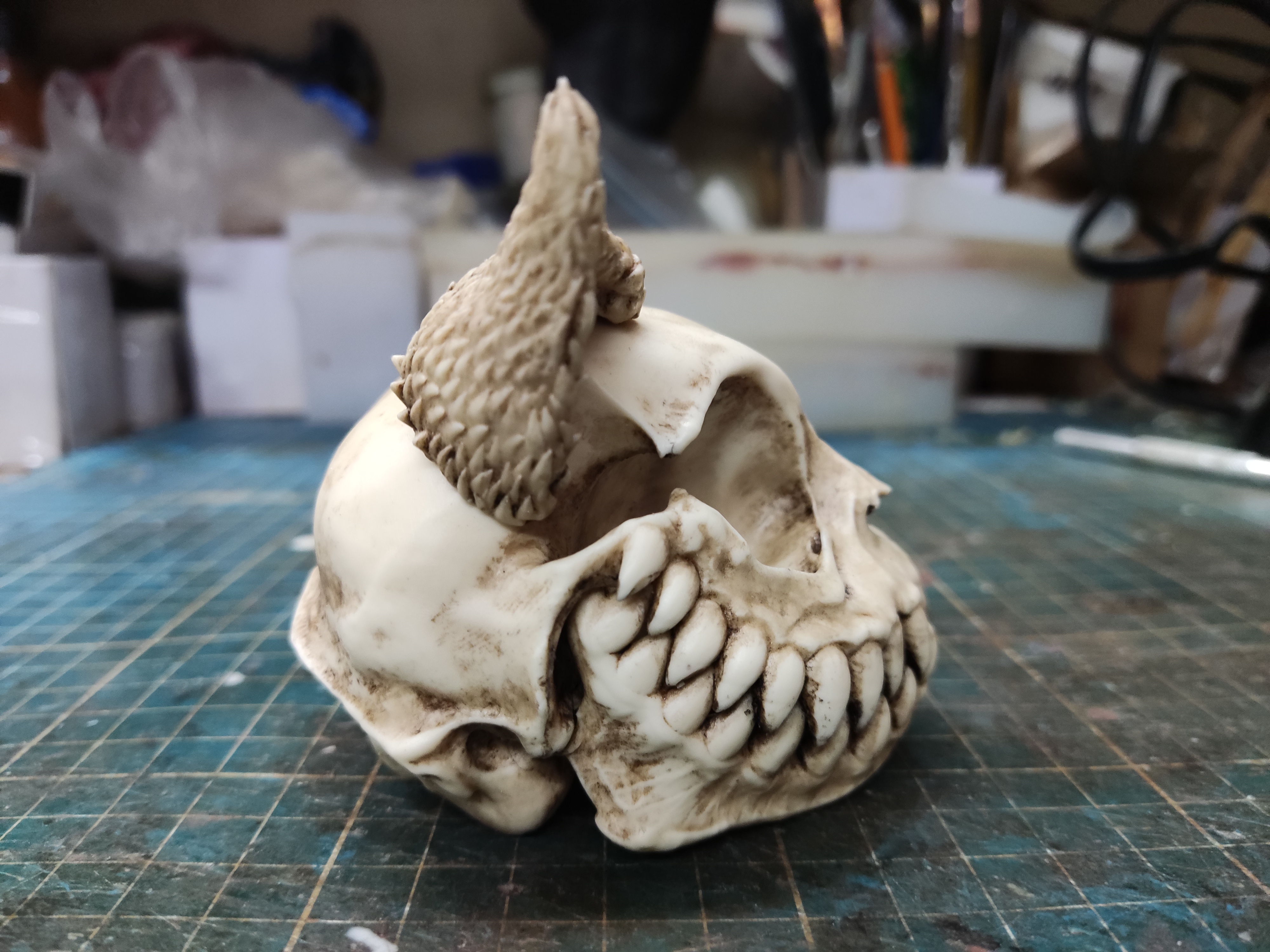 Cheshire Cat Skull "Alice" Alice trough glass,absolom, alice, mad hatter, rabitt hole