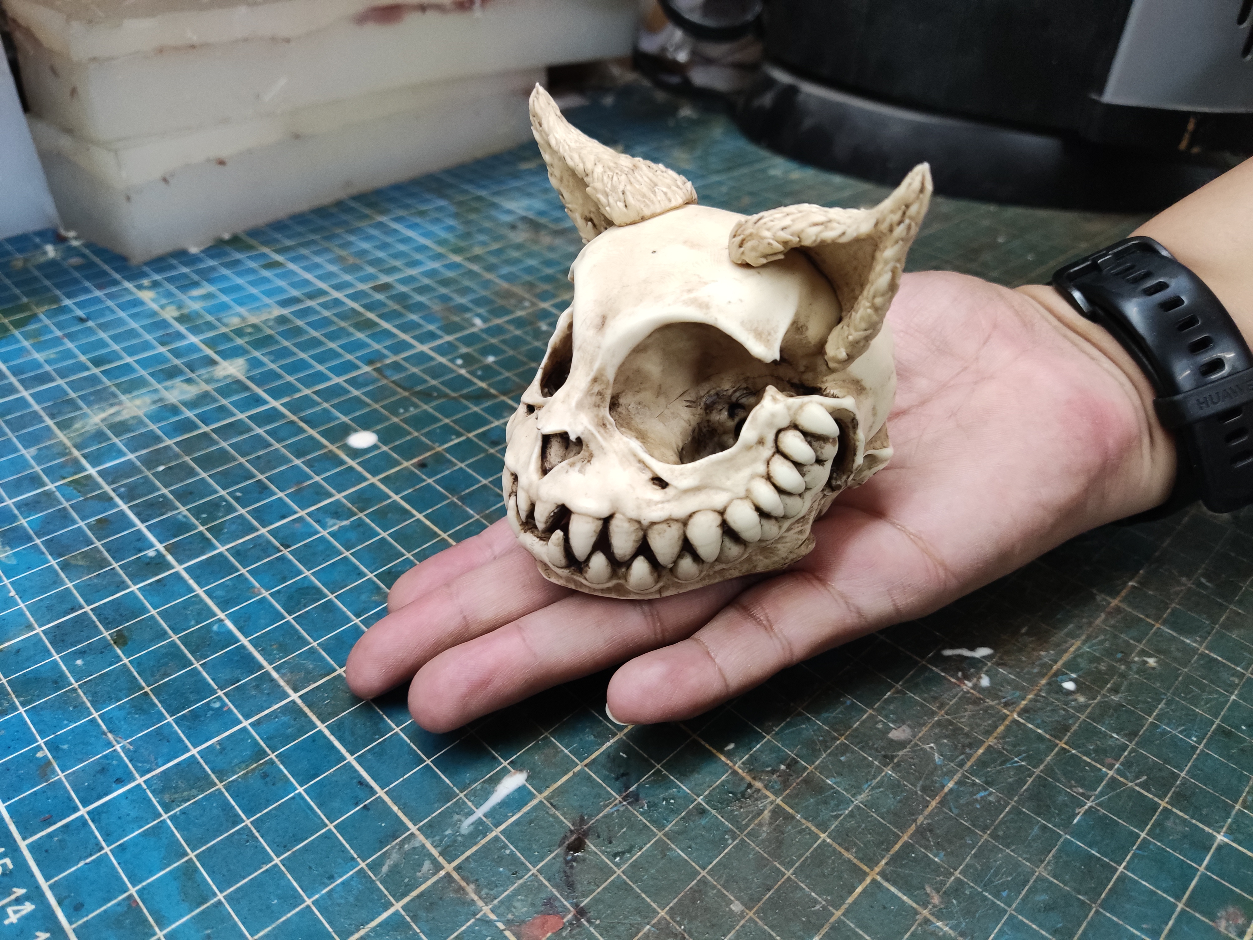 Cheshire Cat Skull "Alice" Alice trough glass,absolom, alice, mad hatter, rabitt hole