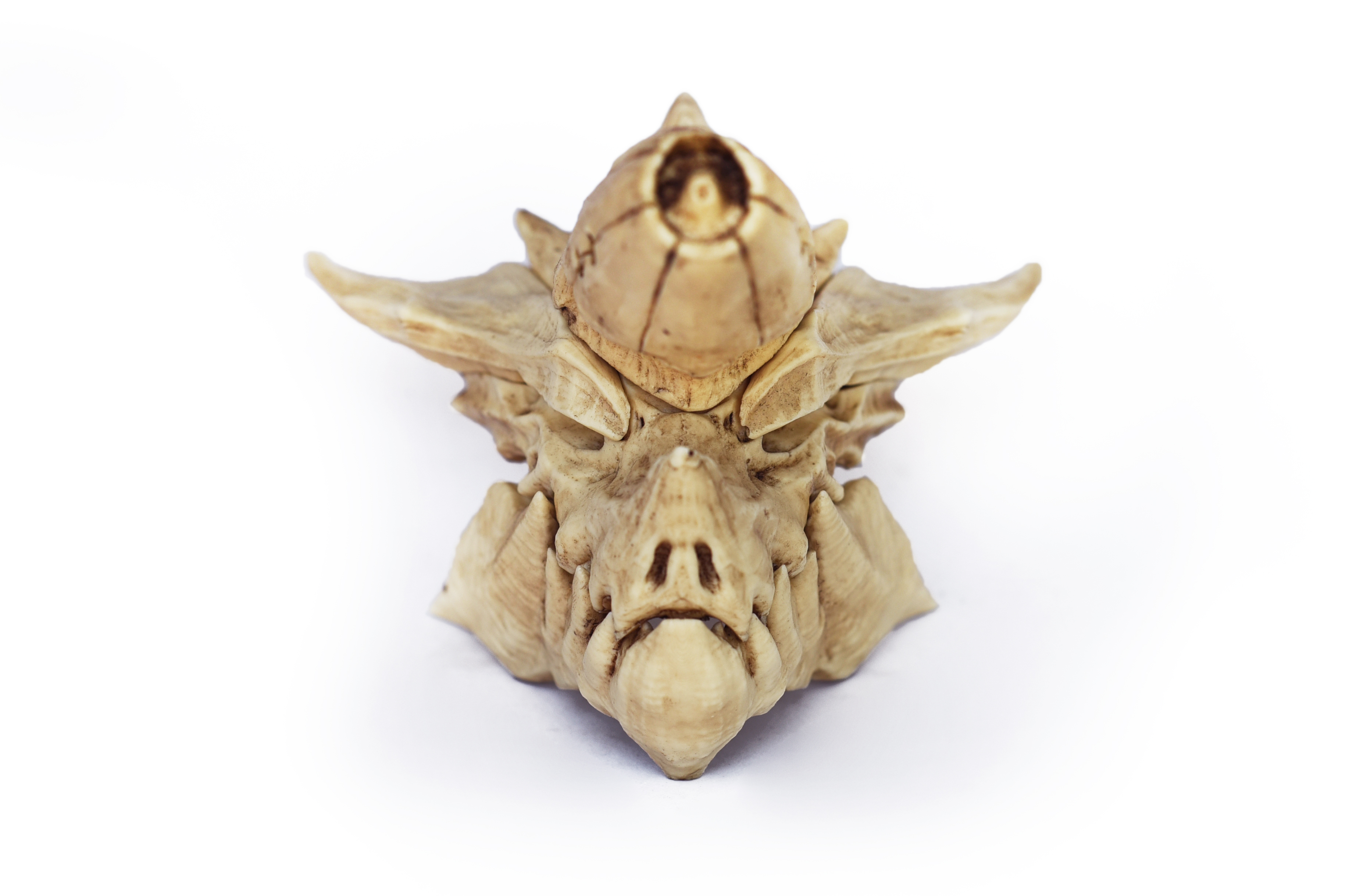 brachydios Skull (Monster Hunter) PETIT Size