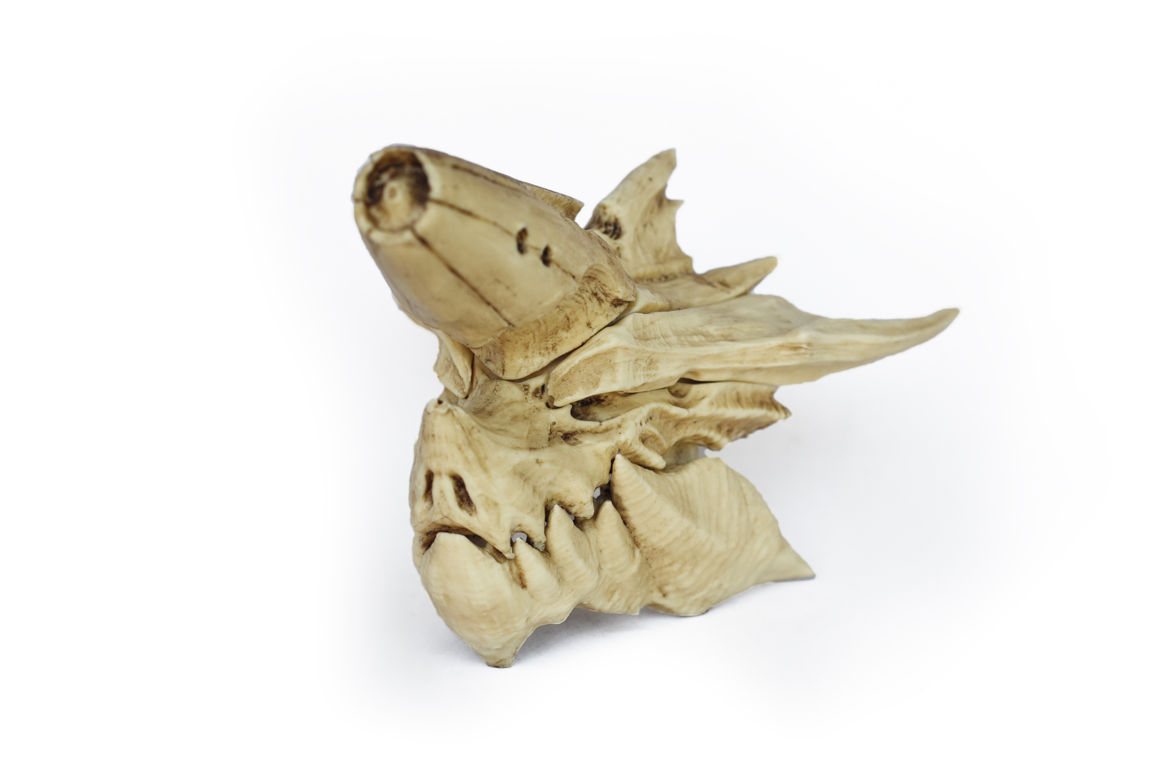 brachydios Skull (Monster Hunter) PETIT Size