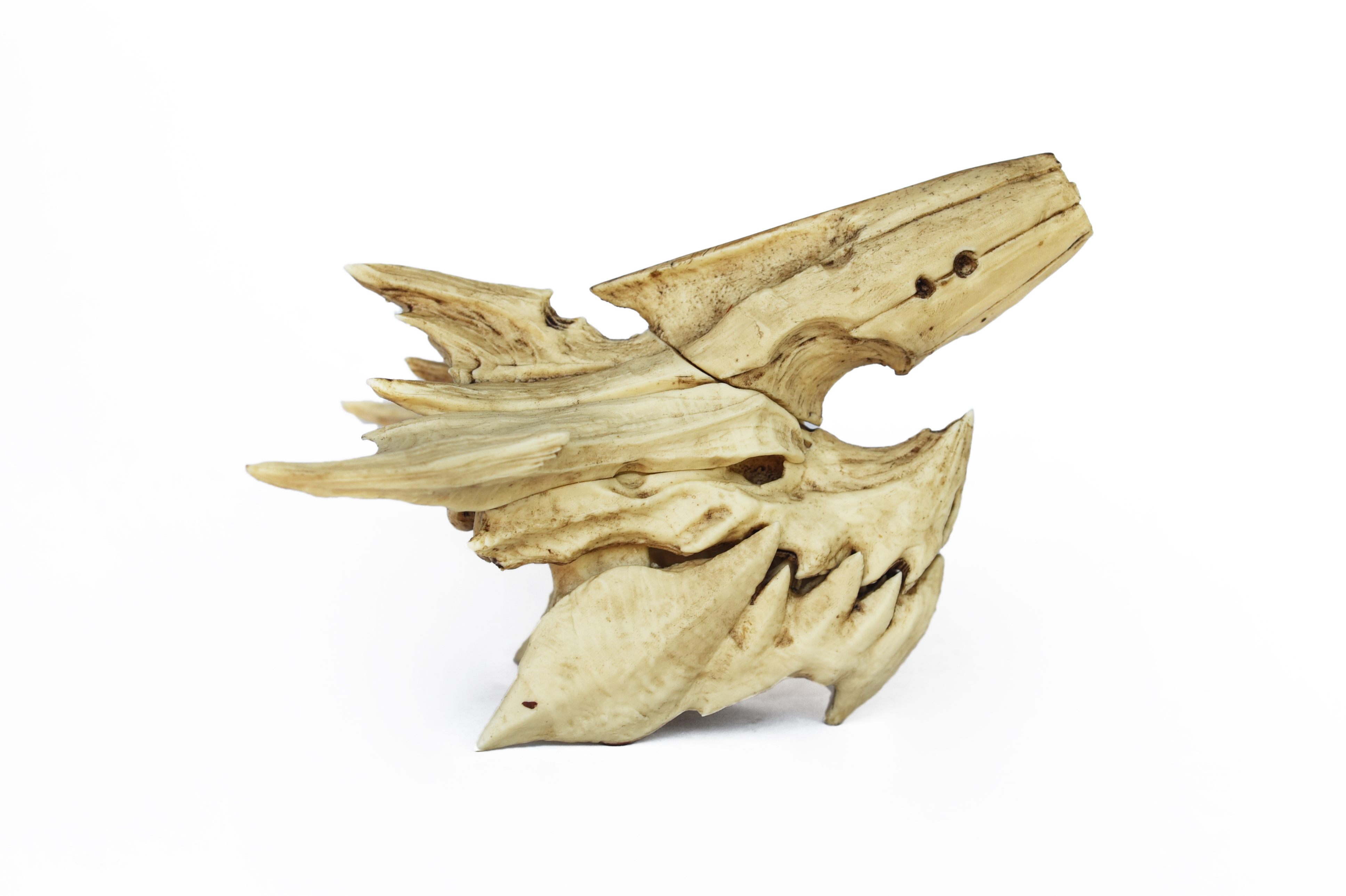 brachydios Skull (Monster Hunter) PETIT Size