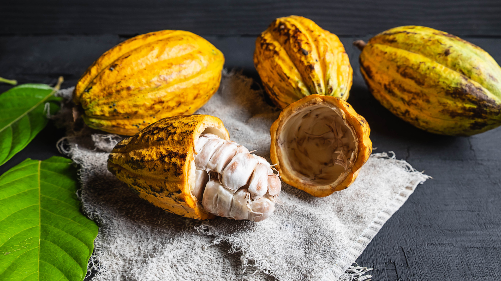 Cacao fresco