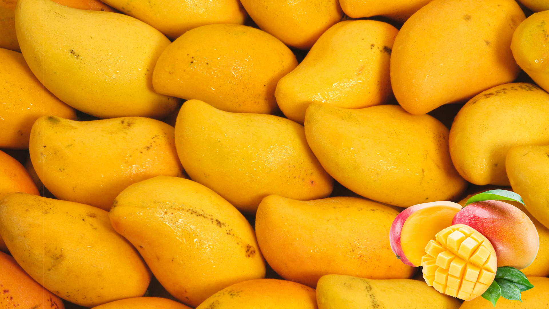 Mango Premium