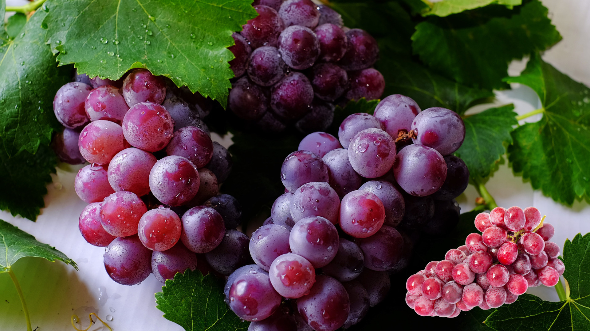 Uvas frescas
