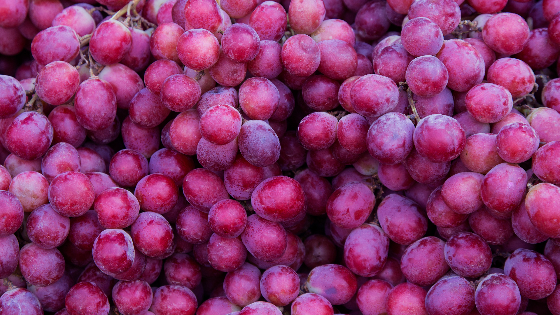 Uvas frescas
