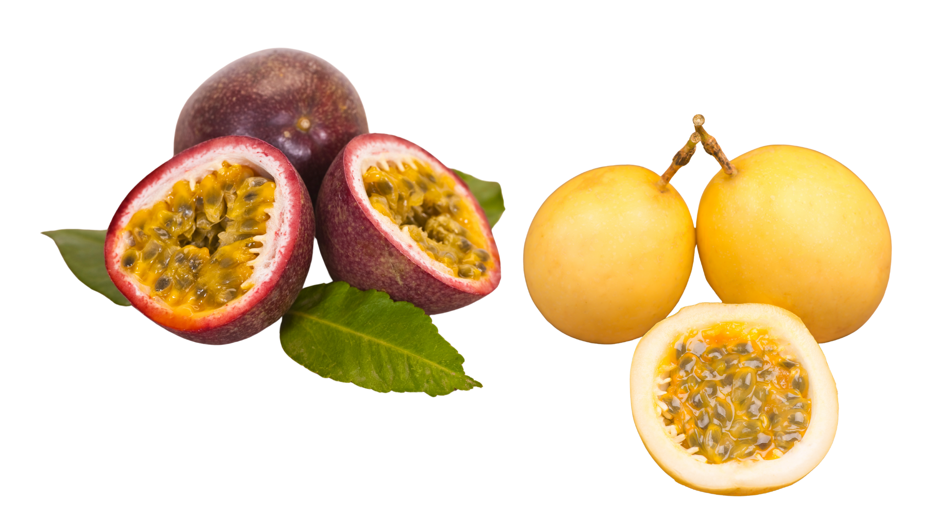 Granadilla