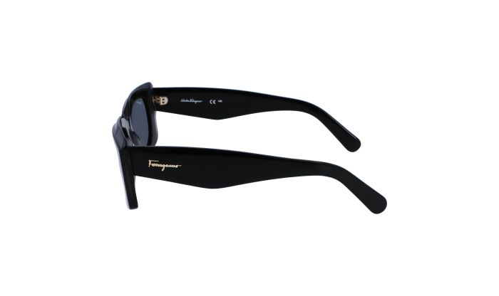 Salvatore Ferragamo SF1079S 022 54-18-140 #3