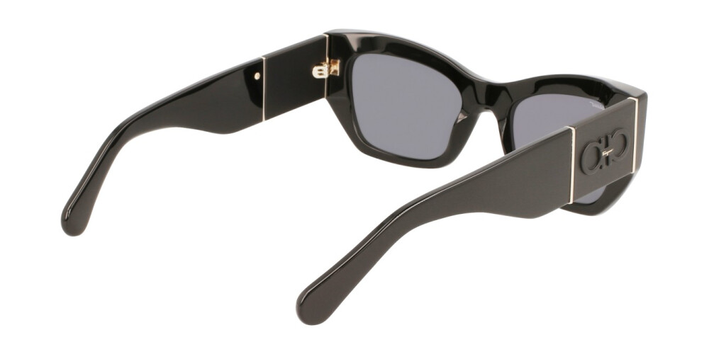 Salvatore Ferragamo SF1059S 001 54-20-140 #3