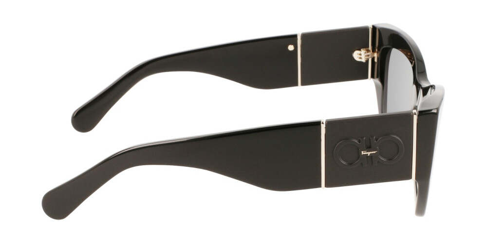 Salvatore Ferragamo SF1059S 001 54-20-140 #3