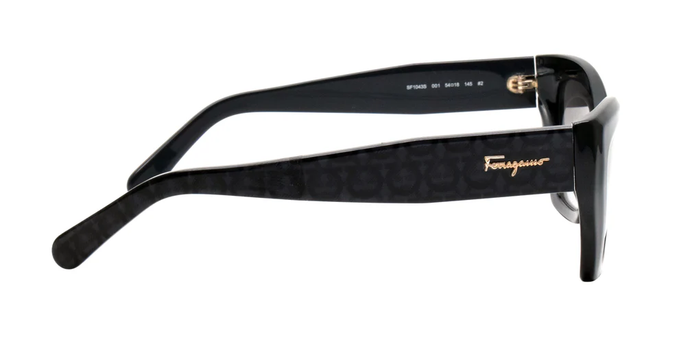 Salvatore Ferragamo SF1043S 001 54-18-145 #2