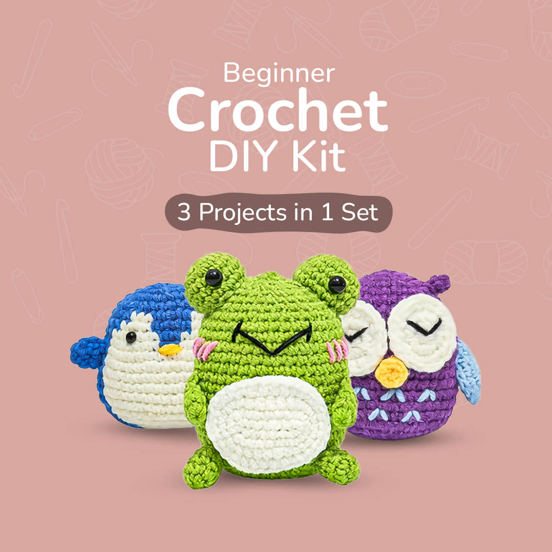 Beginner Crochet DIY Kit | 3 Projects in 1 Set