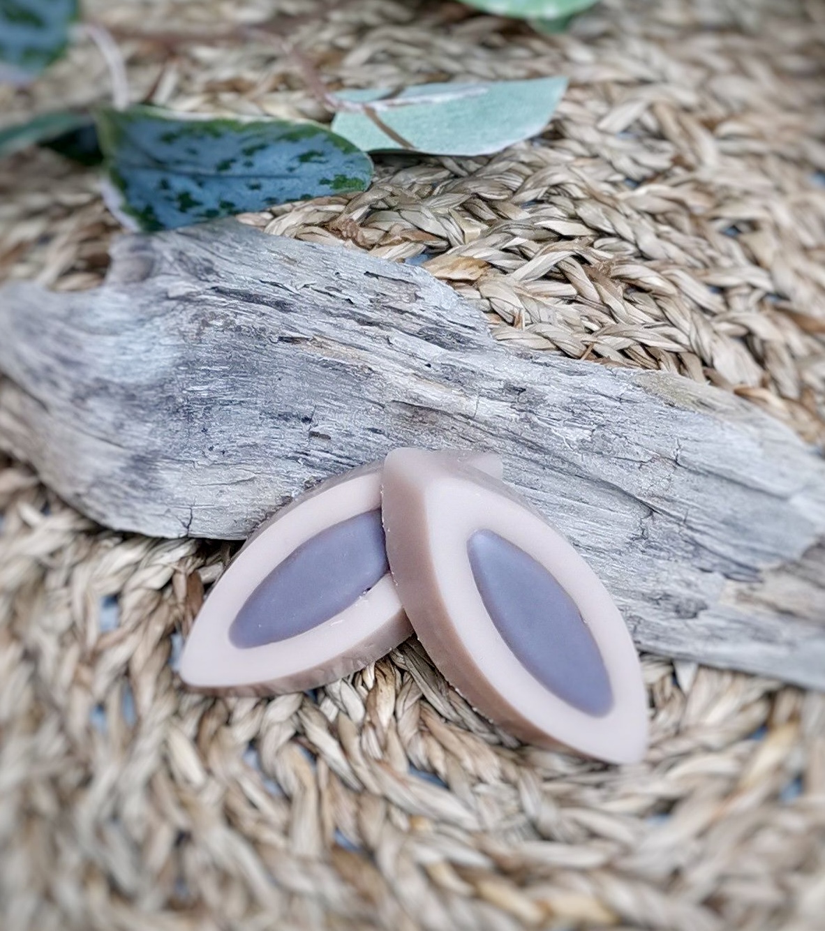 Fondants Barquette – Lot de 2