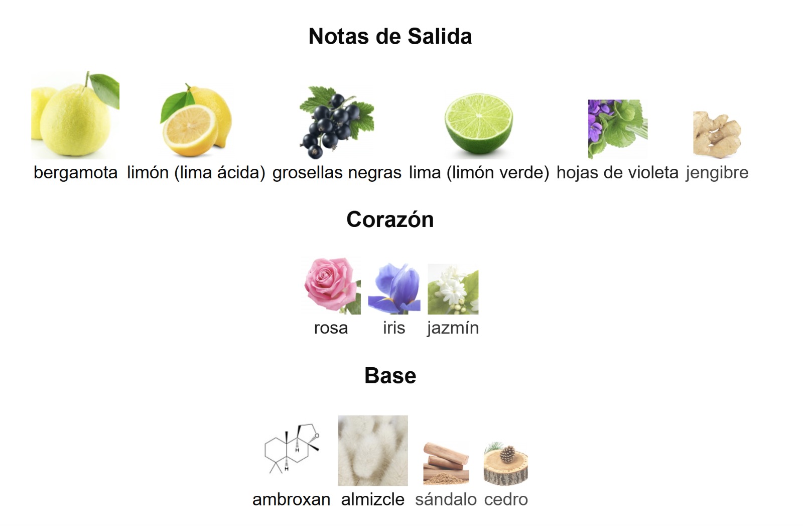 CLUB DE NUIT SILLAGE