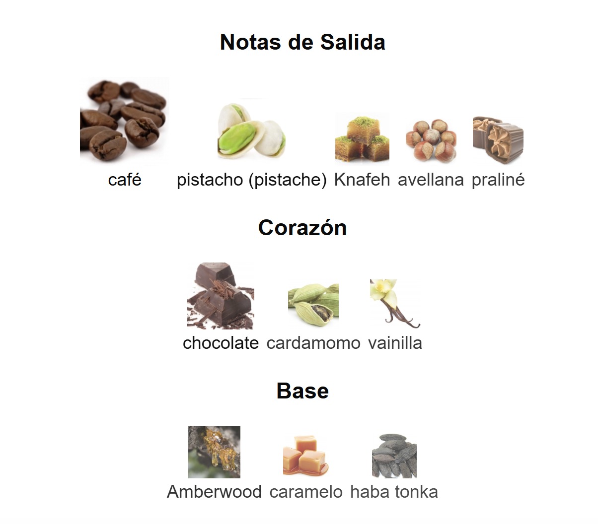 ODYSSEY DUBAI CHOCOLAT