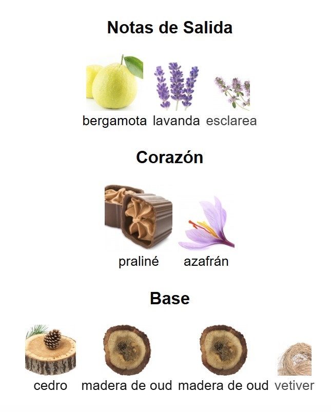 THE LIONS CLUB FEROCE