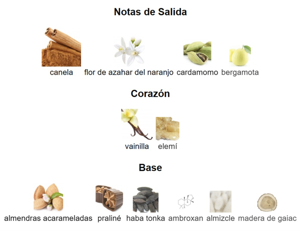 THE LIONS CLUB MONARQUE
