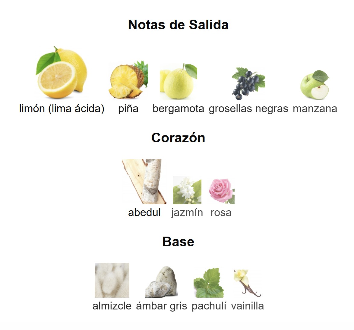 CLUB DE NUIT BESTIA NEGRA