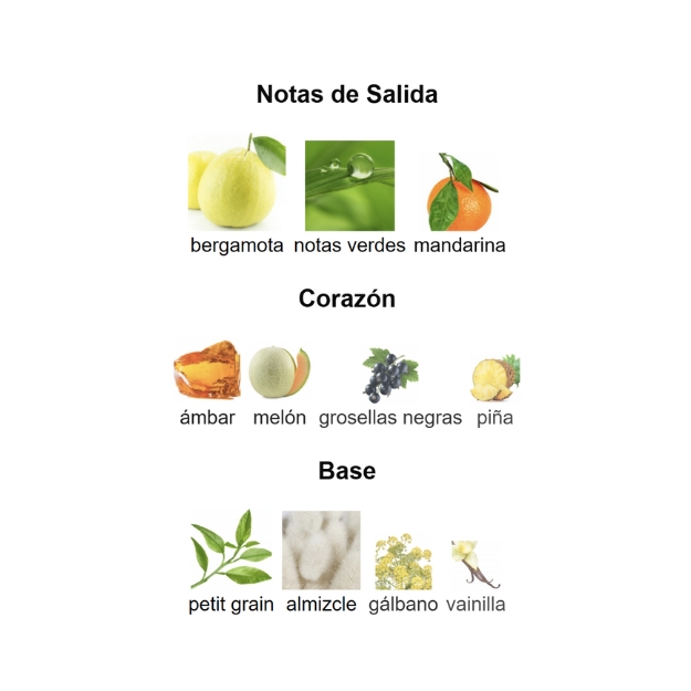 AMBER OUD AQUA DUBAI