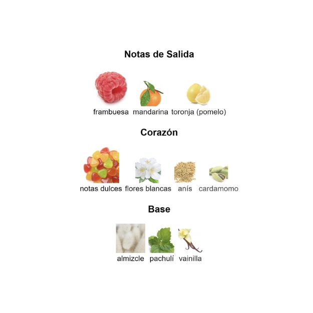 ORNAMENT PURPLE ALLURE