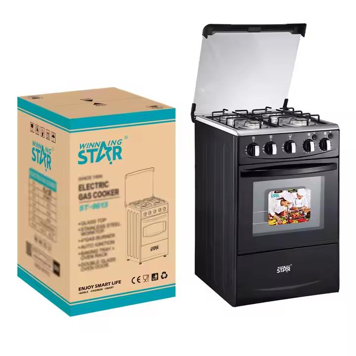 Winning Star Electric Gas Cooker