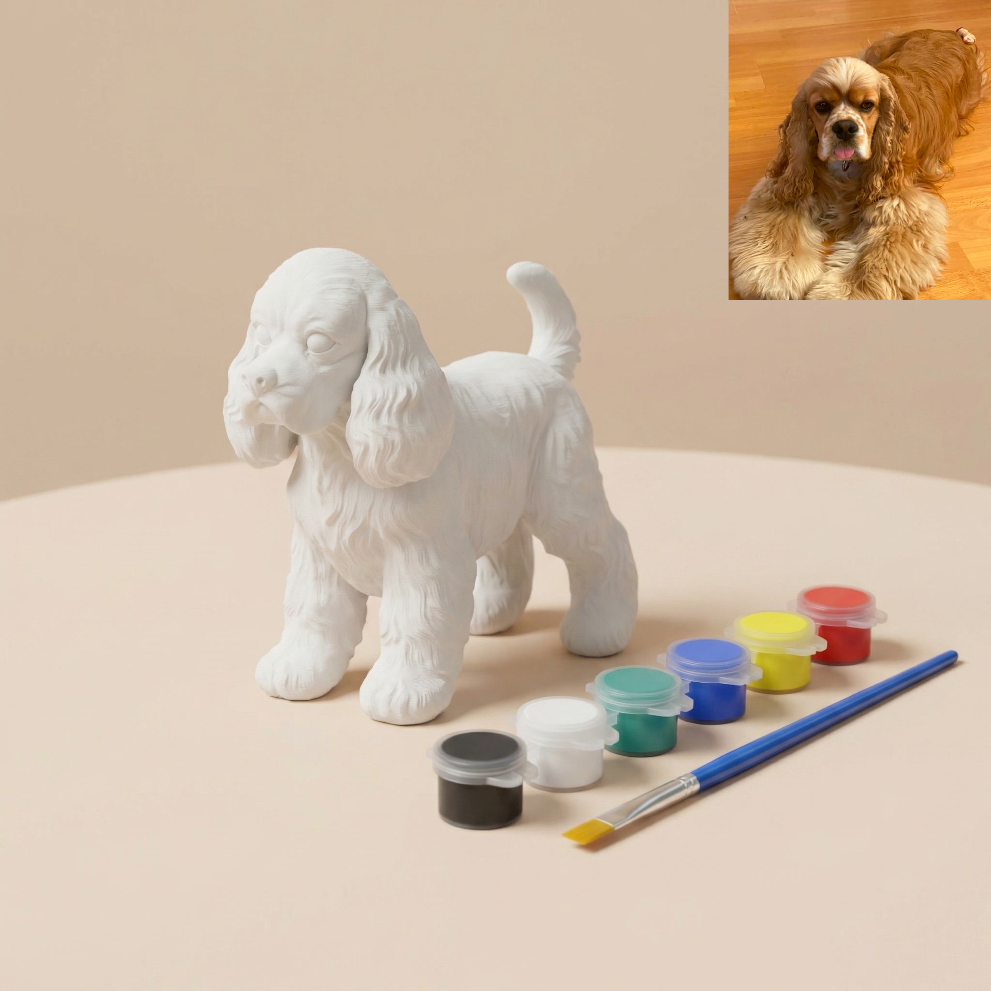 Nudažyk savo augintinį!