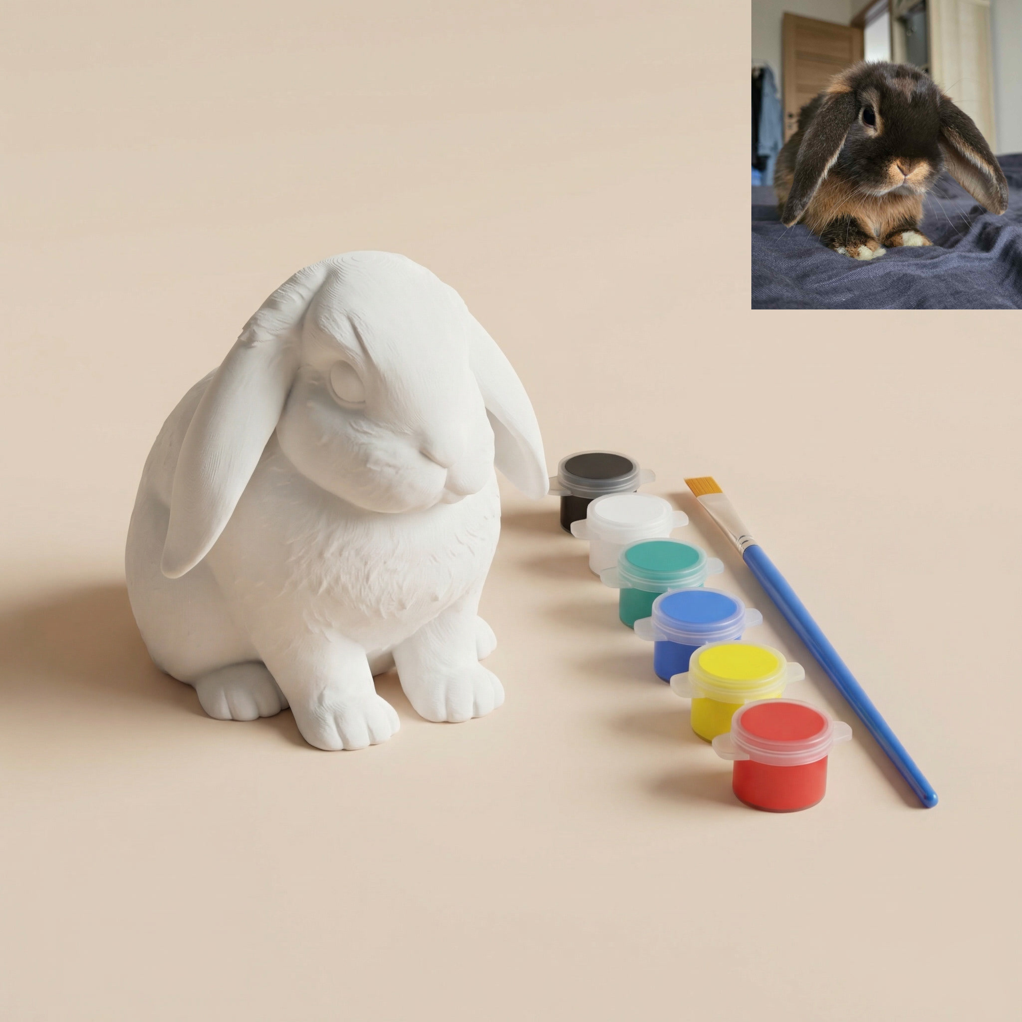 Nudažyk savo augintinį!