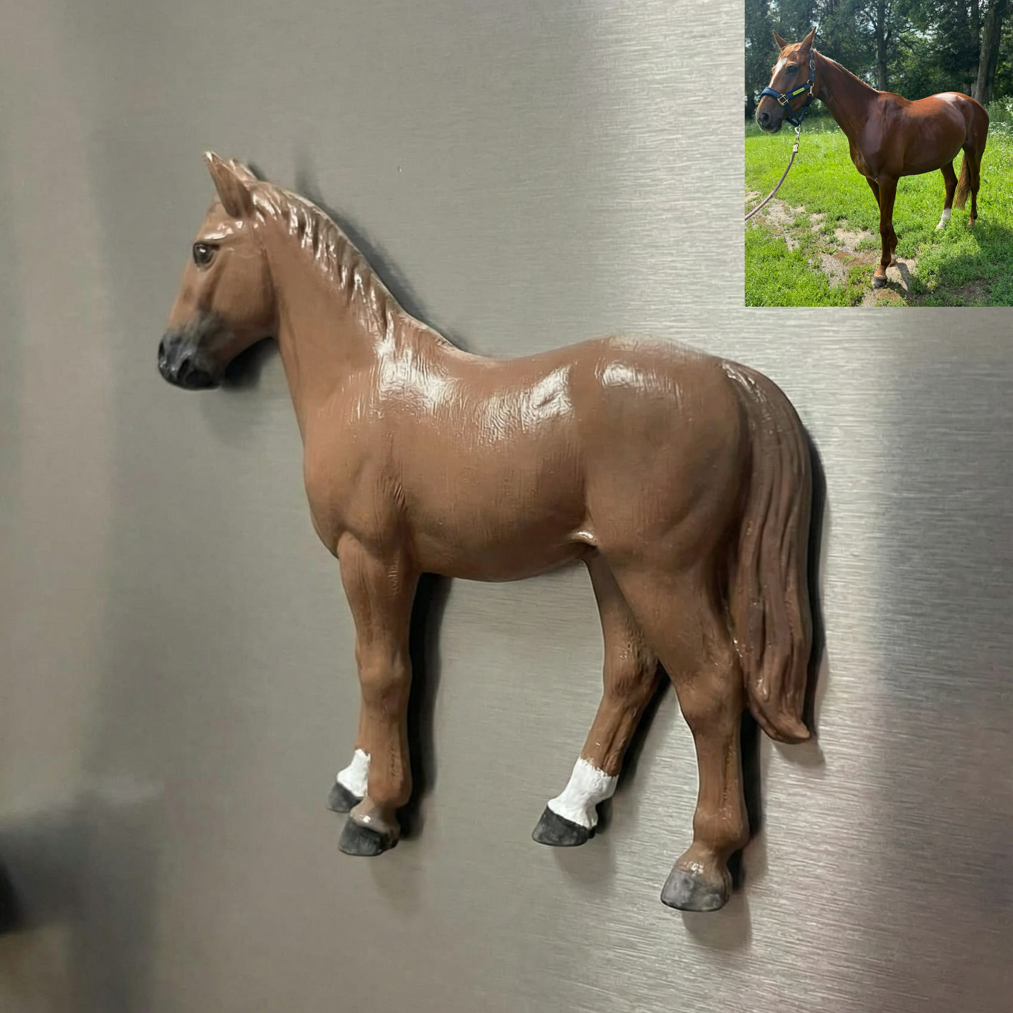 Tavo augintinio magnetas