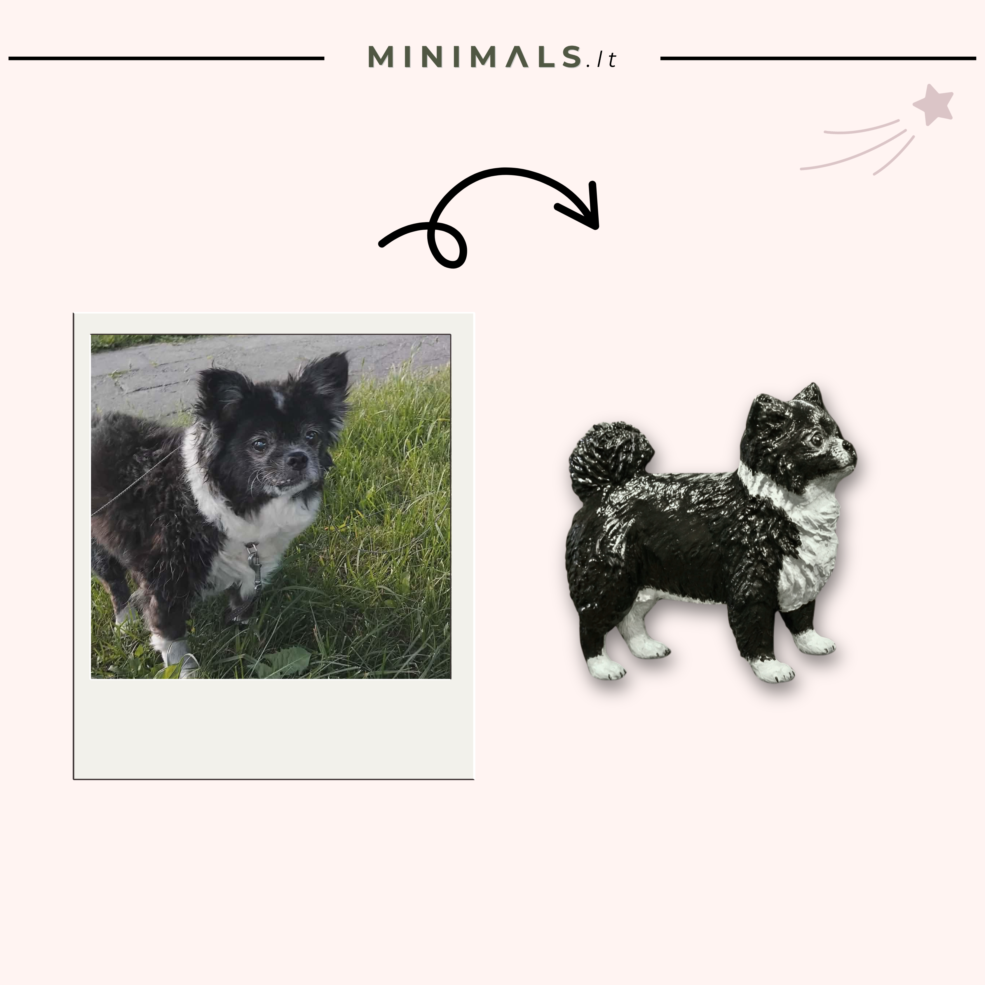 Tavo augintinio magnetas