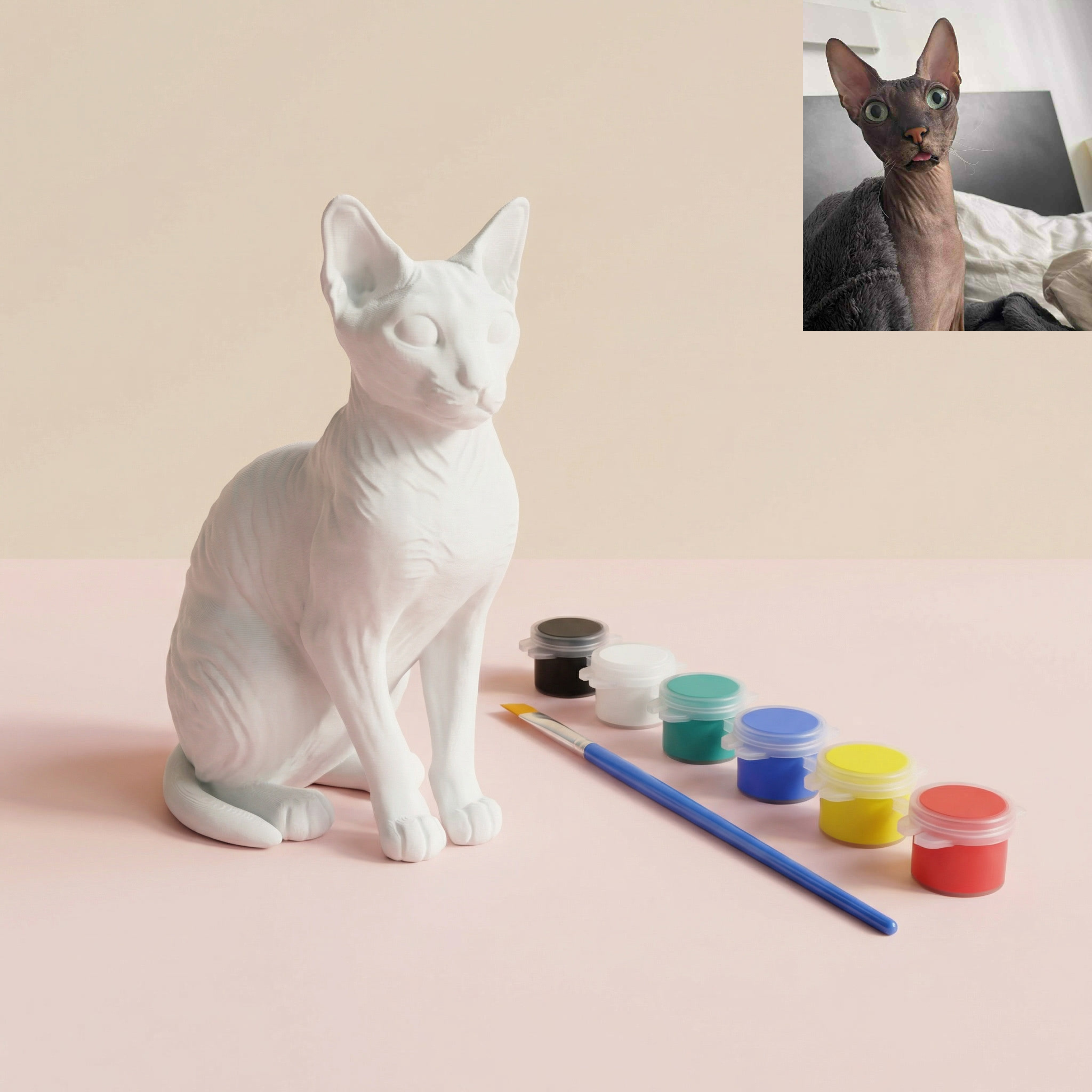 Nudažyk savo augintinį!