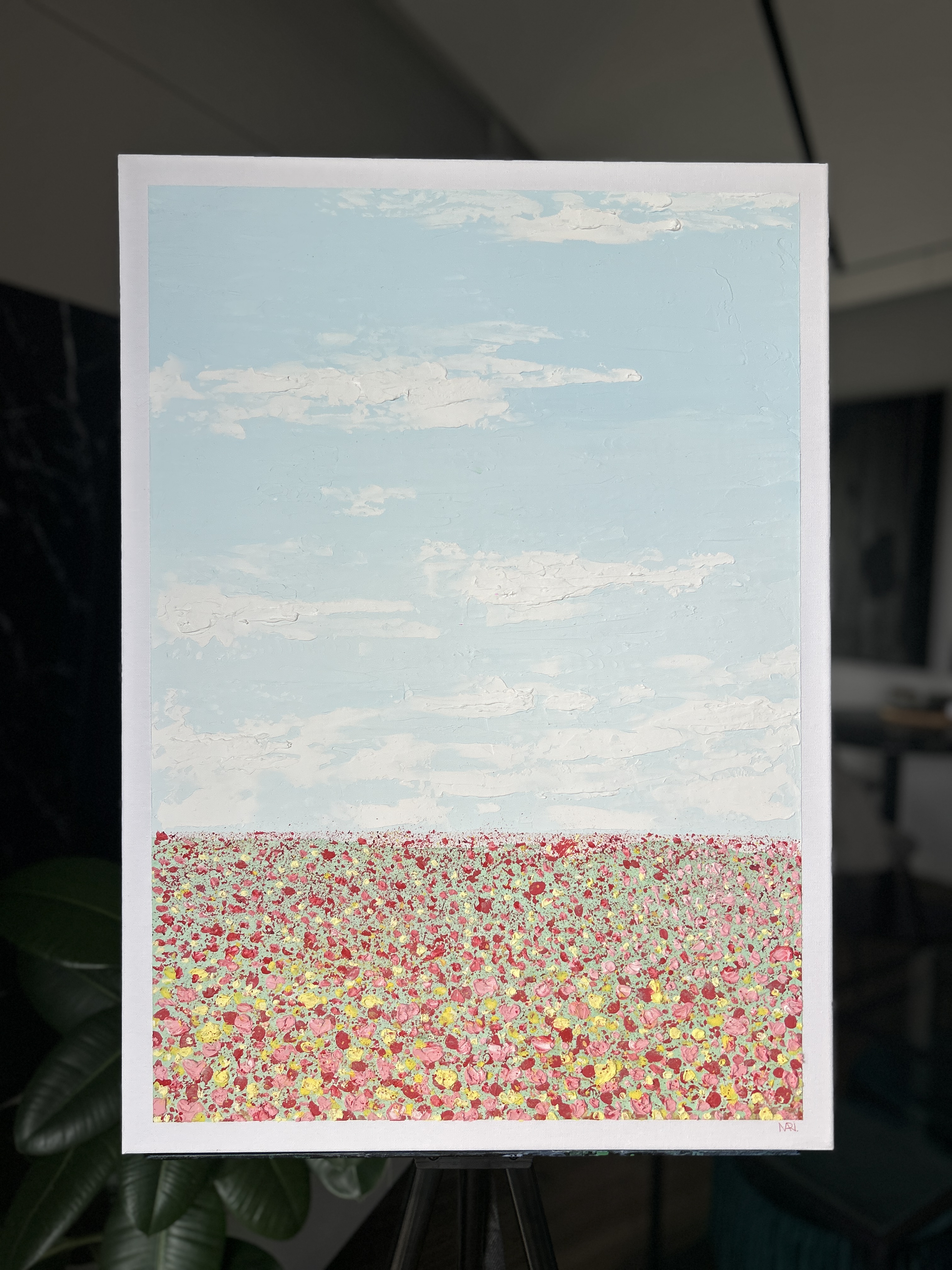 ' flower field ' 