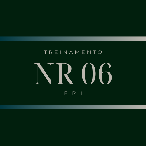 NR 06 - Equipamento de Proteção Individual