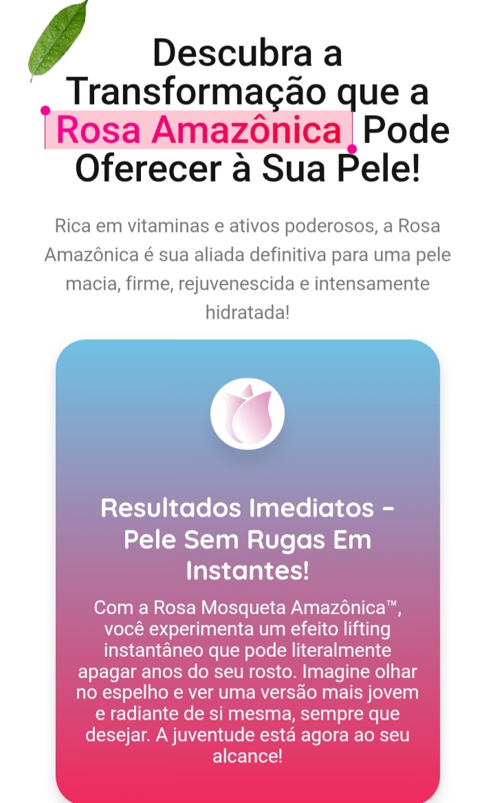 Rosa Amazônica 