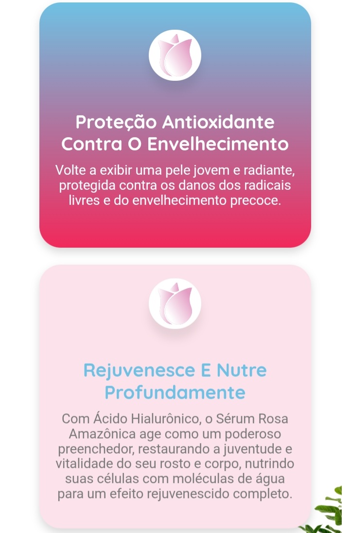 Rosa Amazônica 