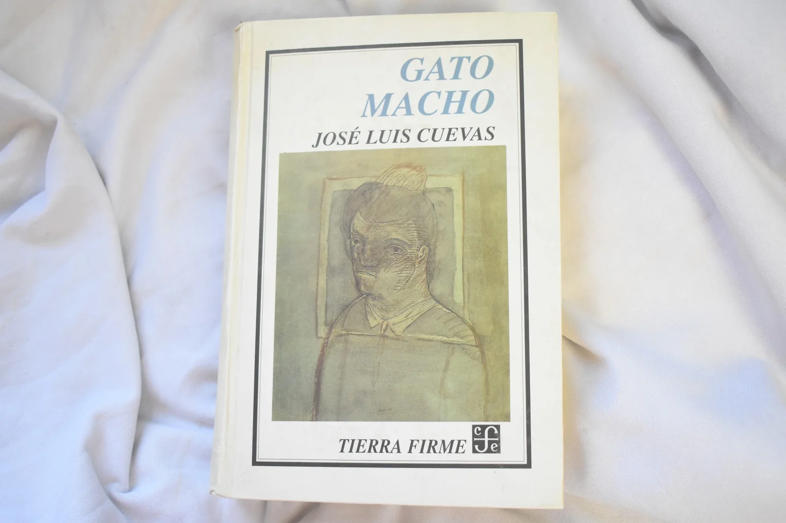 JOSÉ LUIS CUEVAS - GATO MACHO