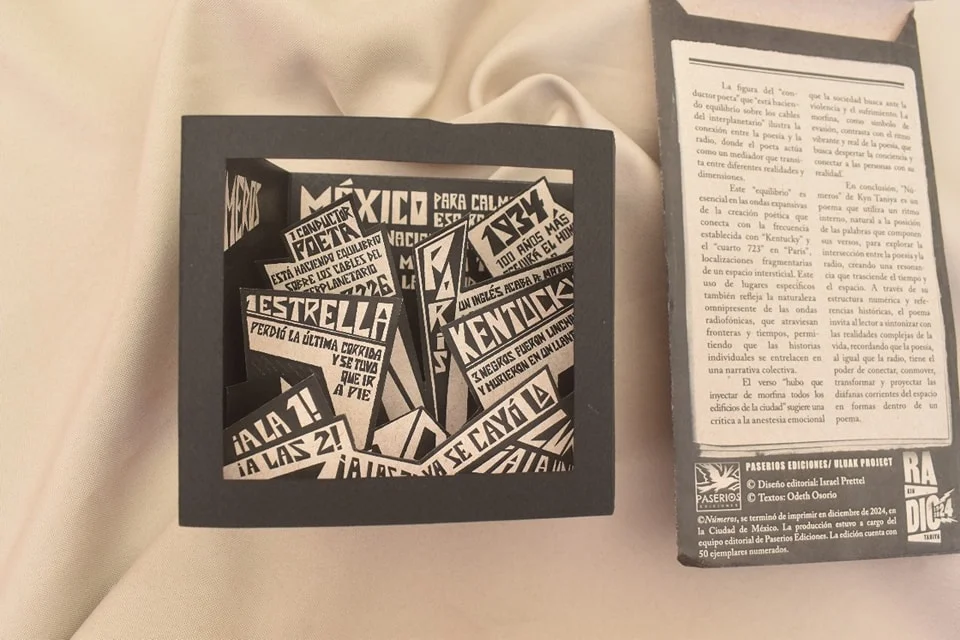 NUMEROS - POP UP VANGUARDISTA ESTRIDENTISTA