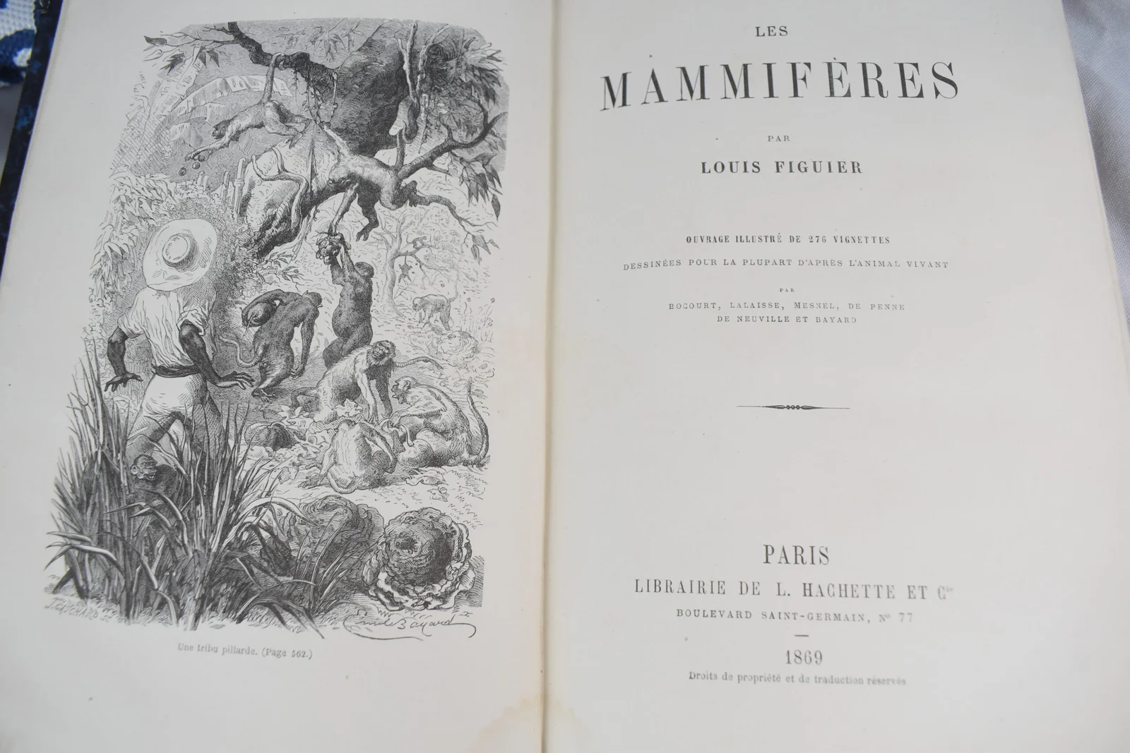 Louis Figuier- Les Mammiféres 1869