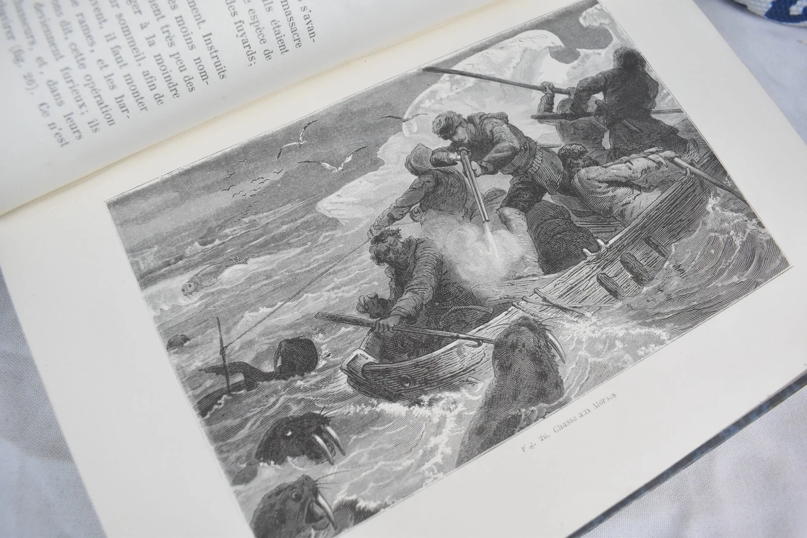 Louis Figuier- Les Mammiféres 1869