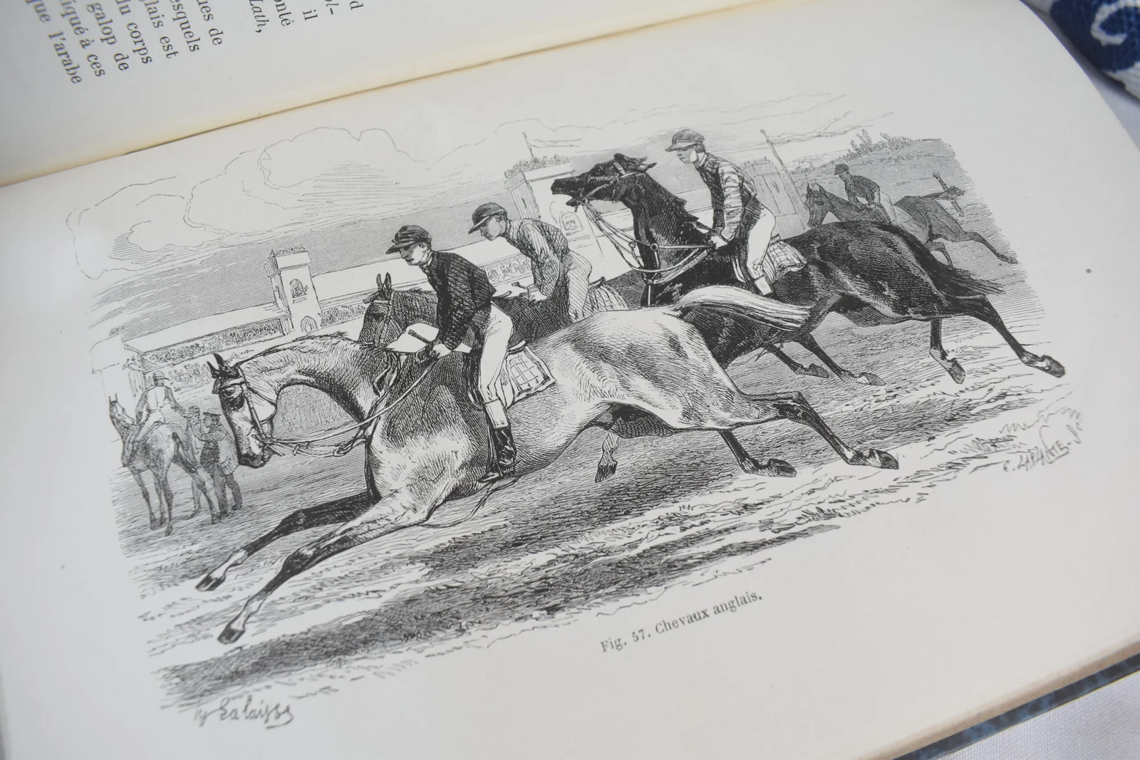 Louis Figuier- Les Mammiféres 1869