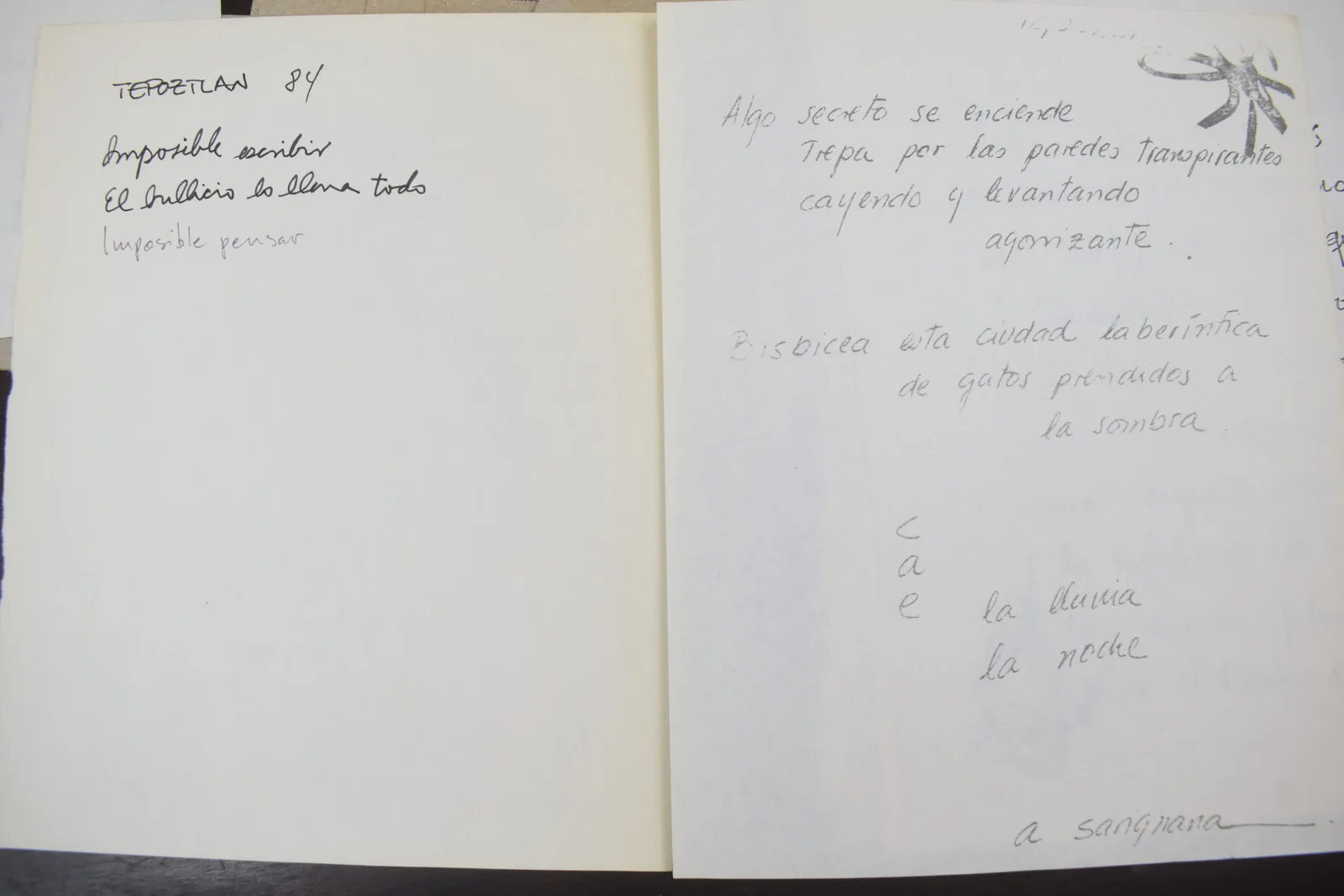 TEPOZTLAN NOCHE DE ESCRITURAS