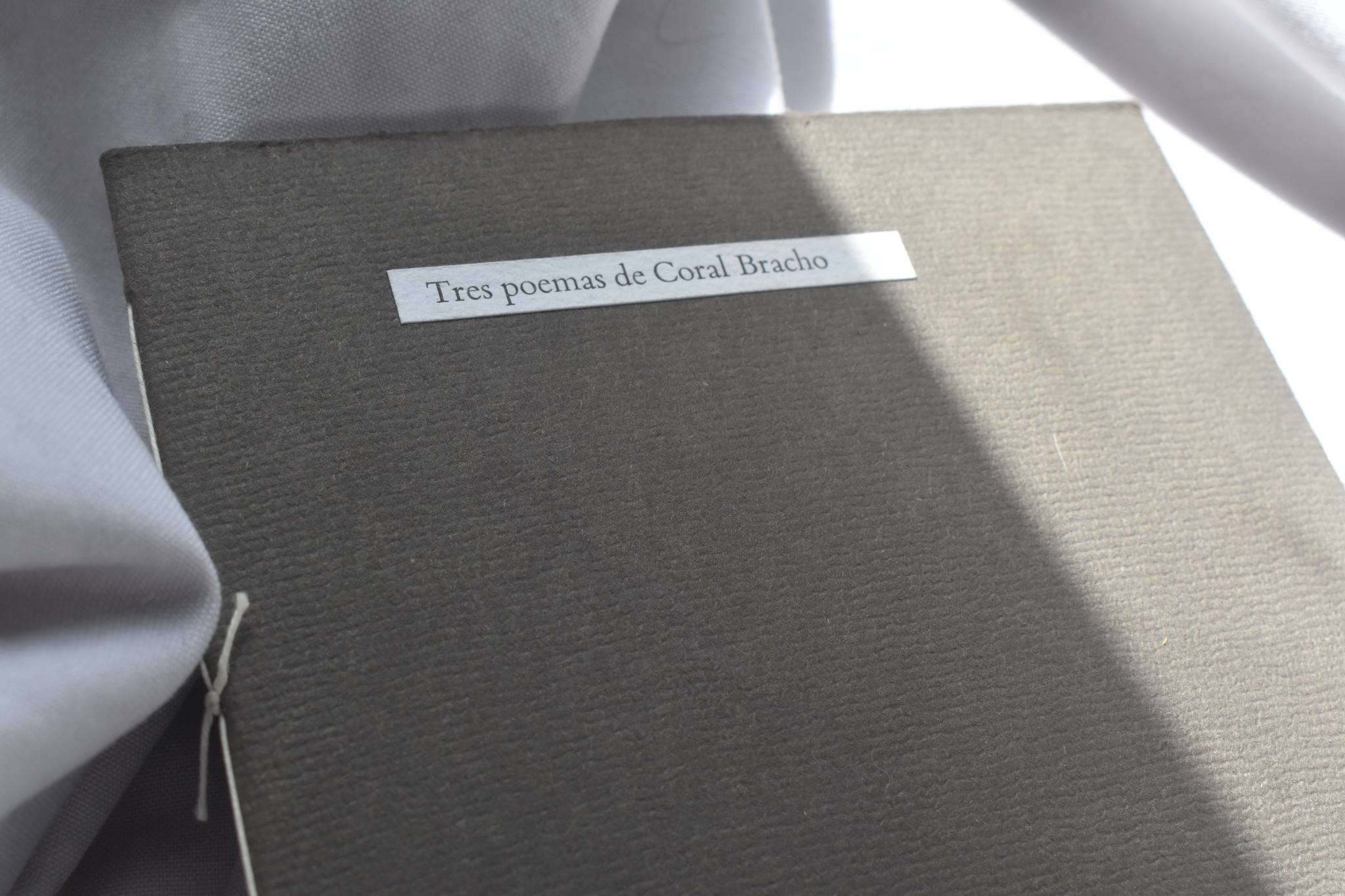 TRES POEMAS DE CORAL BRACHO